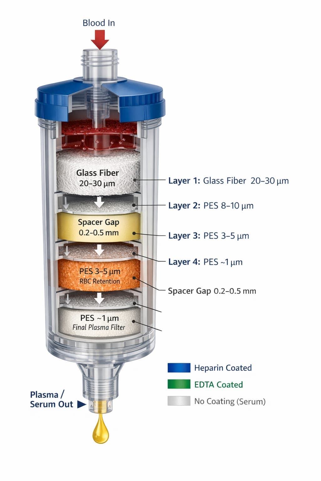 Technical cross-section of the blood filter showing internal layers and plasma output